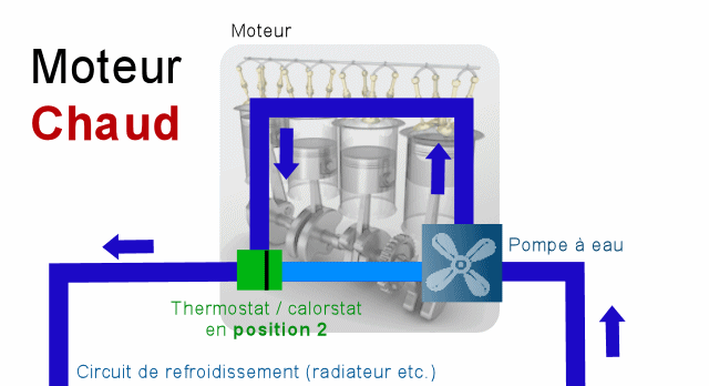 Le calorstat / Thermostat