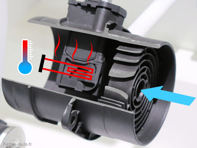 tuyaux de lave glace pourrit pour scenic de 2003 - Renault - Mécanique /  Électronique - Forum Technique - Forum Auto