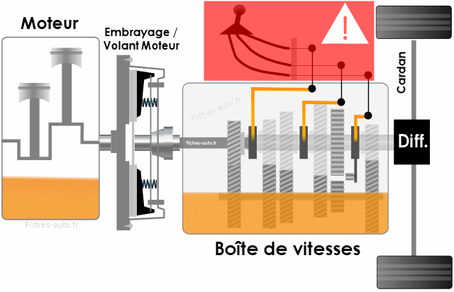 Cable de commande levier de boite vitesse manuelle de Citroen Fiat