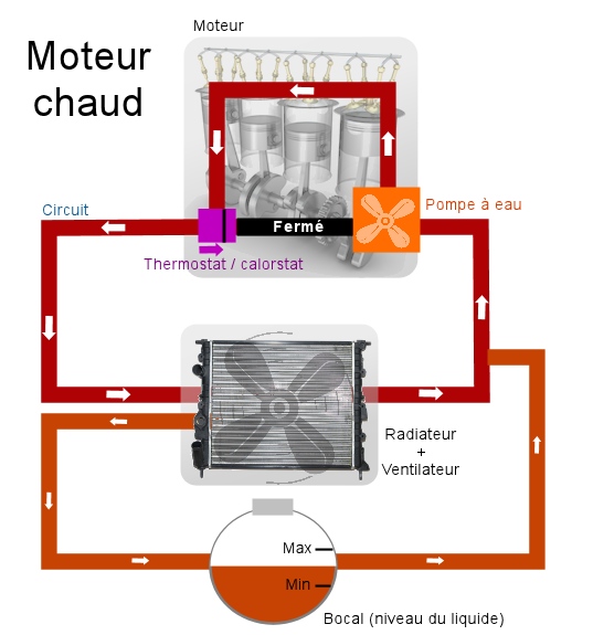 Durite caoutchouc pour circuit de refroidissement, huile, essence 16 x 27 mm